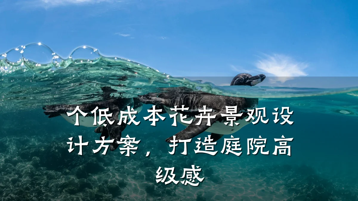 个低成本花卉景观设计方案,打造庭院高级感