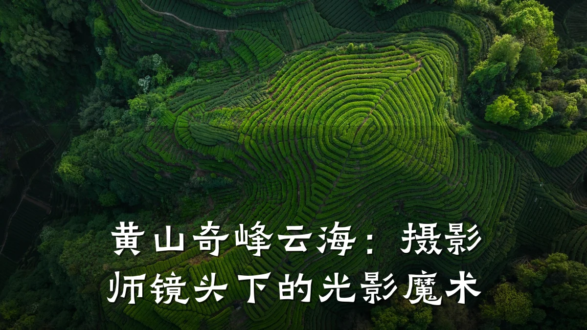 黄山奇峰云海:摄影师镜头下的光影魔术