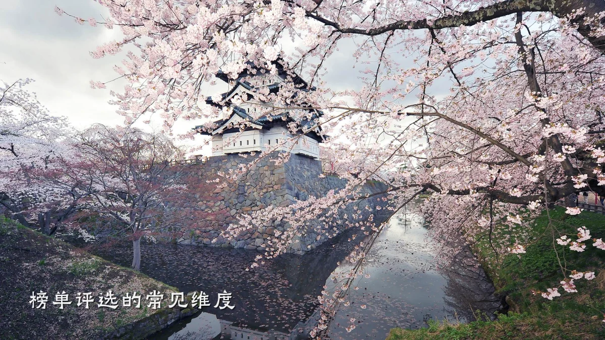 榜单评选的常见维度