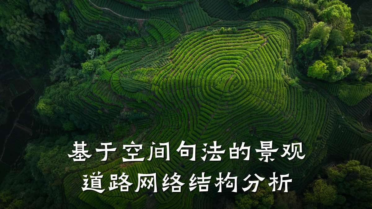 基于空间句法的景观道路网络结构分析