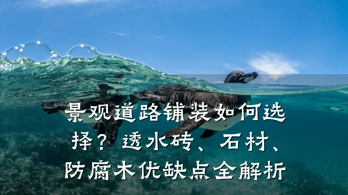 景观道路铺装如何选择?透水砖、石材、防腐木优缺点全解析
