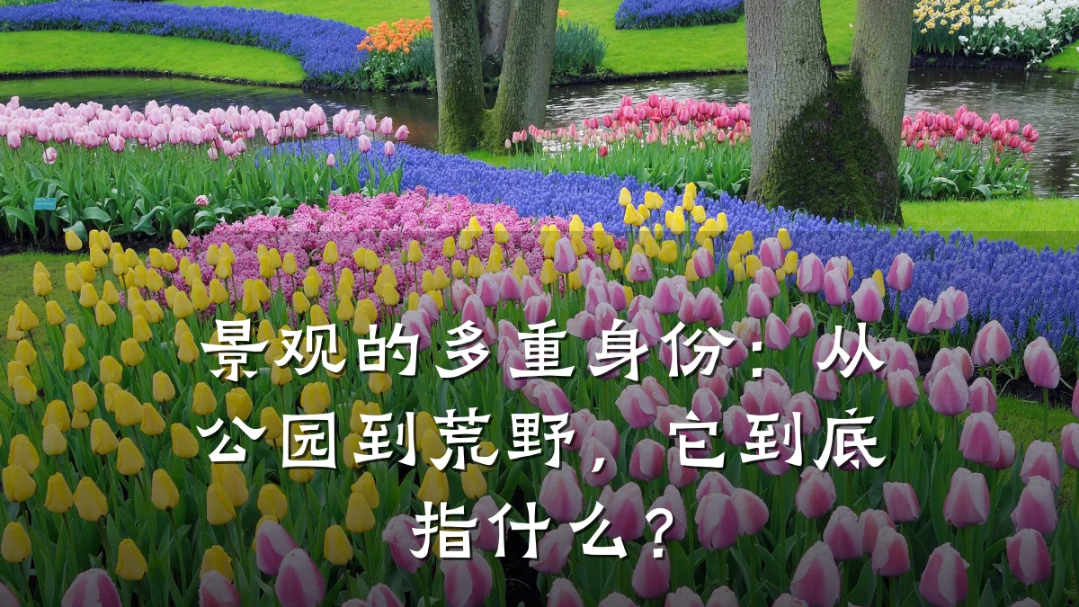 景观的多重身份：从公园到荒野，它到底指什么？