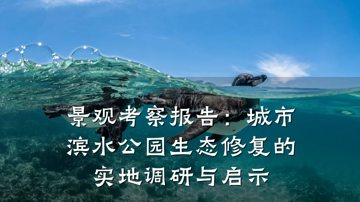 景观考察报告:城市滨水公园生态修复的实地调研与启示