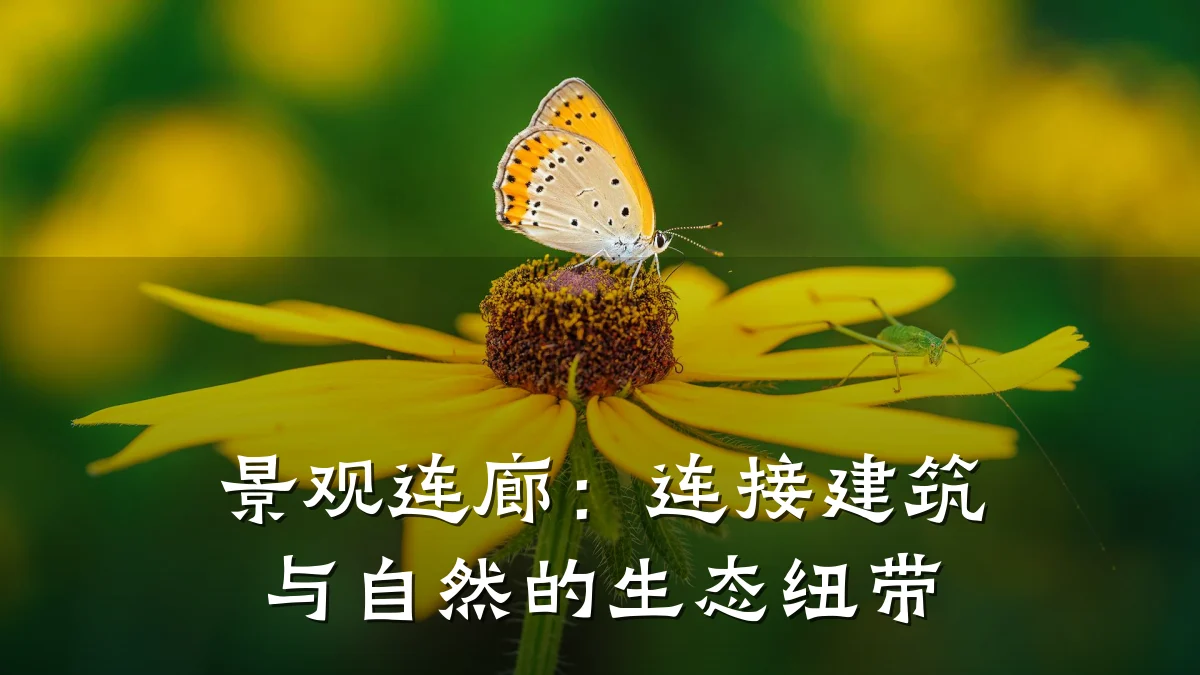 景观连廊：连接建筑与自然的生态纽带