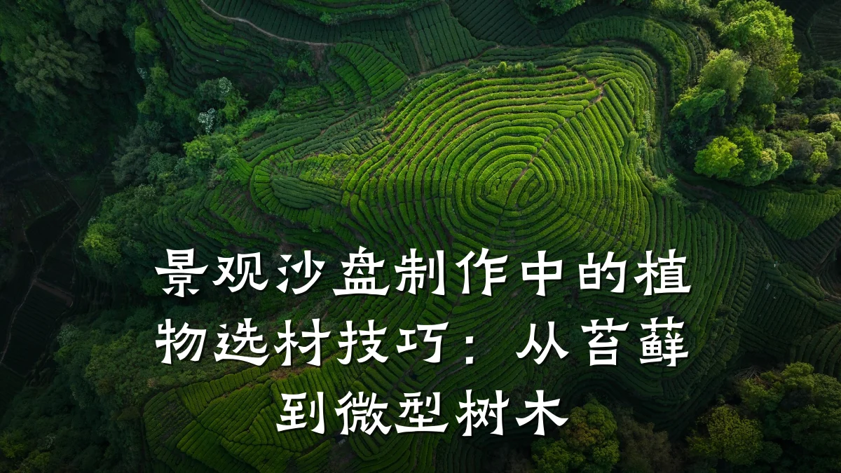 景观沙盘制作中的植物选材技巧:从苔藓到微型树木