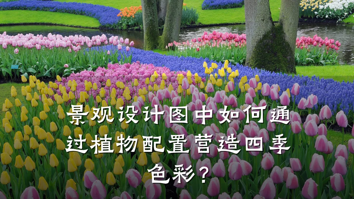 景观设计图中如何通过植物配置营造四季色彩?