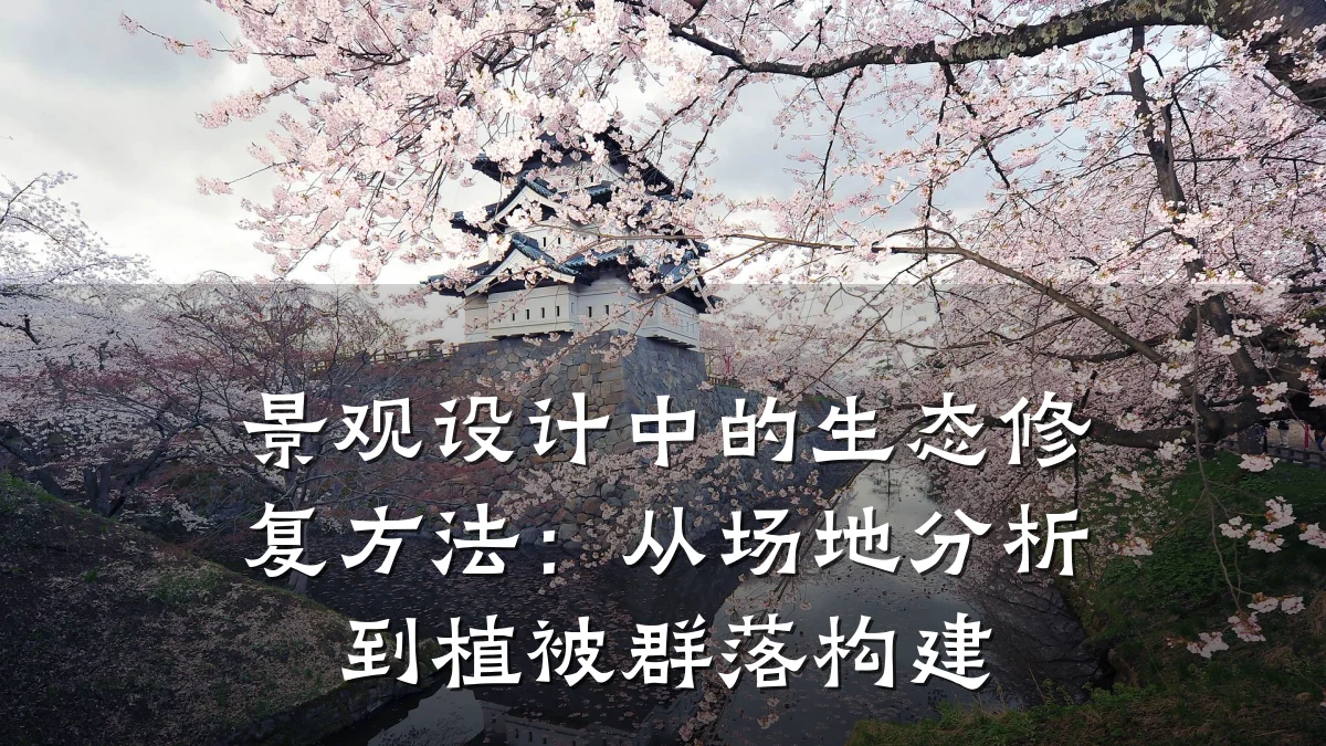 景观设计中的生态修复方法:从场地分析到植被群落构建