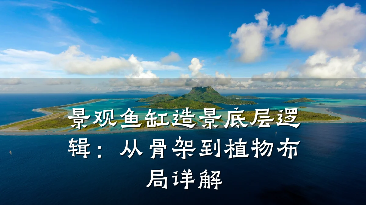 景观鱼缸造景底层逻辑:从骨架到植物布局详解