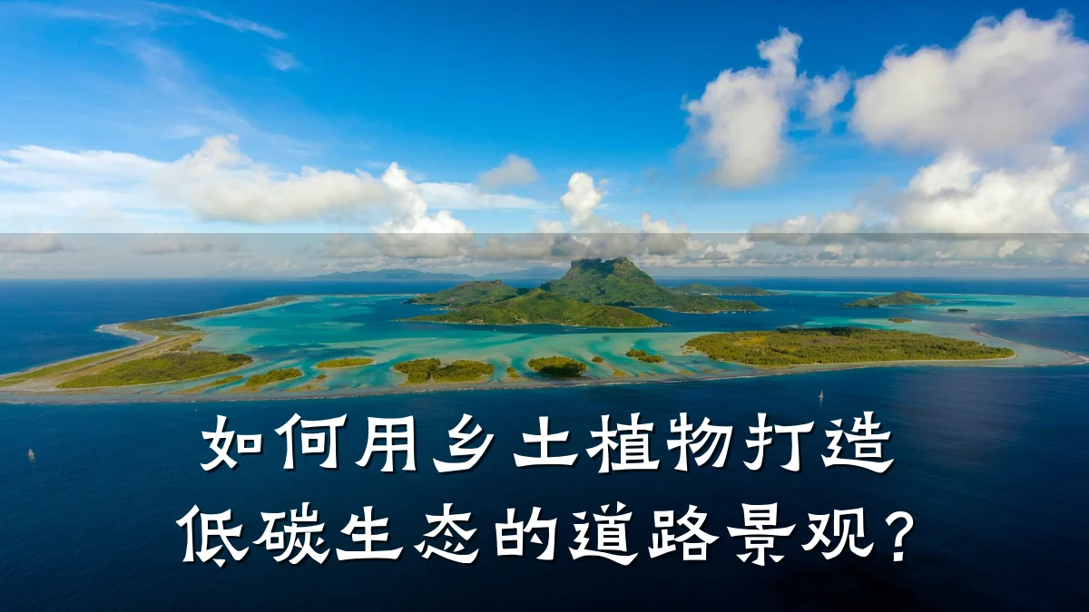 如何用乡土植物打造低碳生态的道路景观？