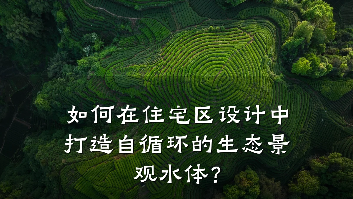 如何在住宅区设计中打造自循环的生态景观水体?