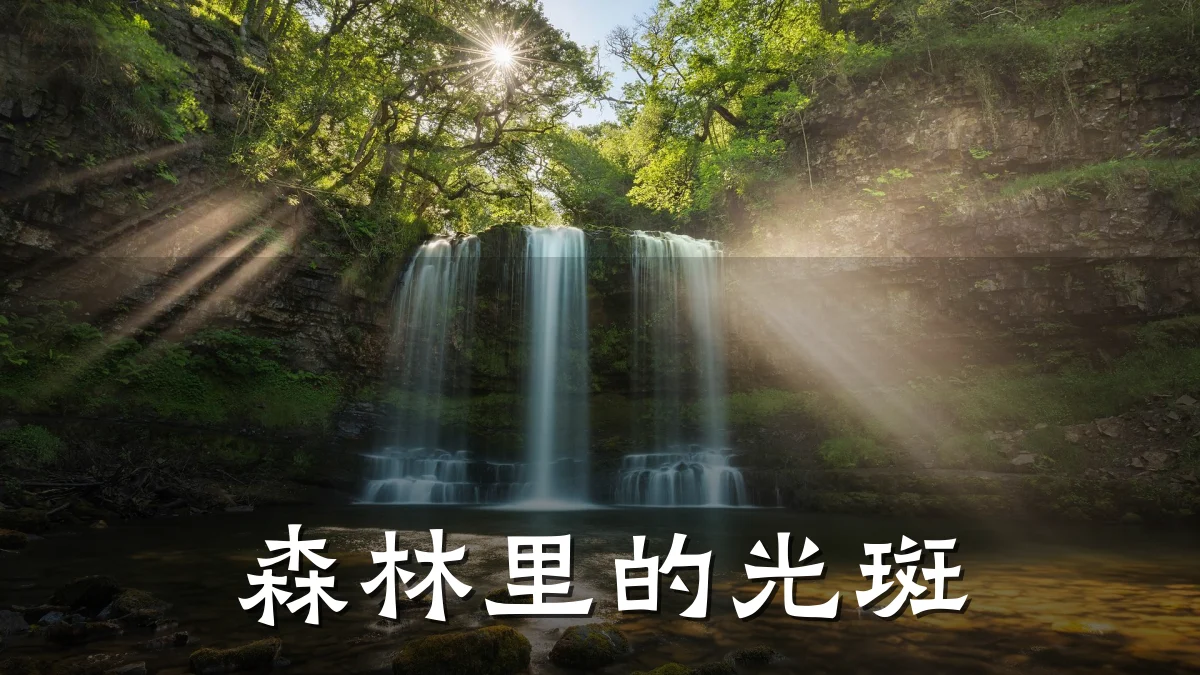森林里的光斑