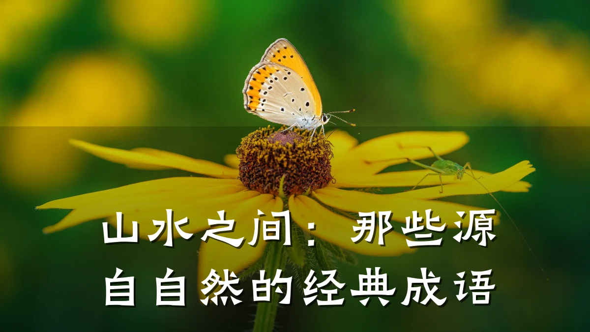 山水之间:那些源自自然的经典成语