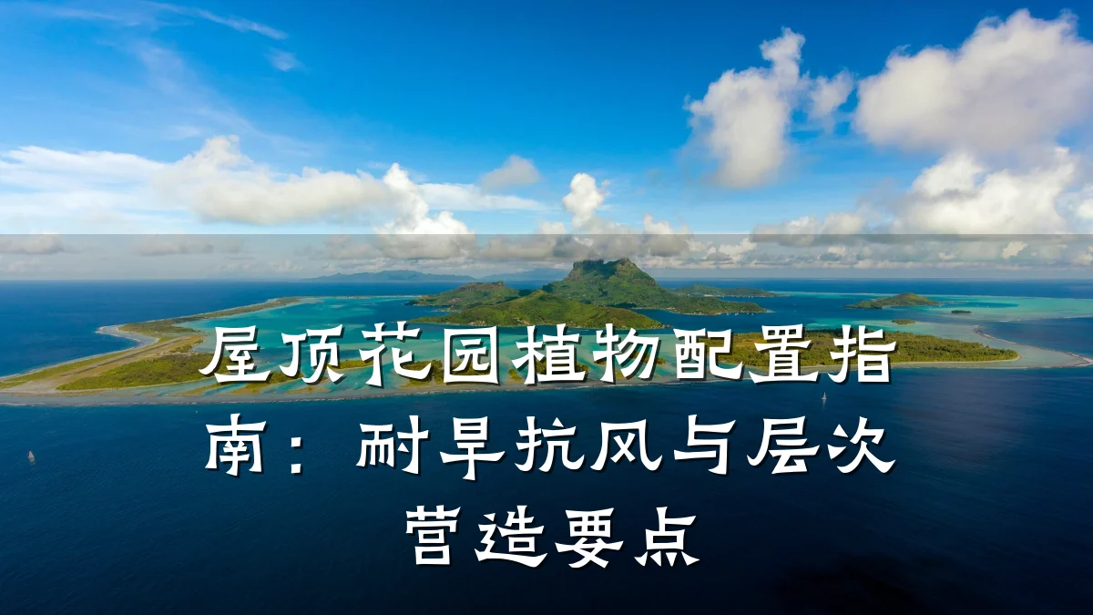 屋顶花园植物配置指南:耐旱抗风与层次营造要点