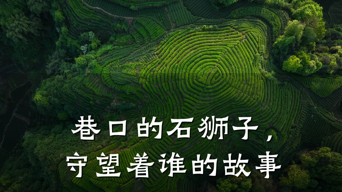 巷口的石狮子,守望着谁的故事