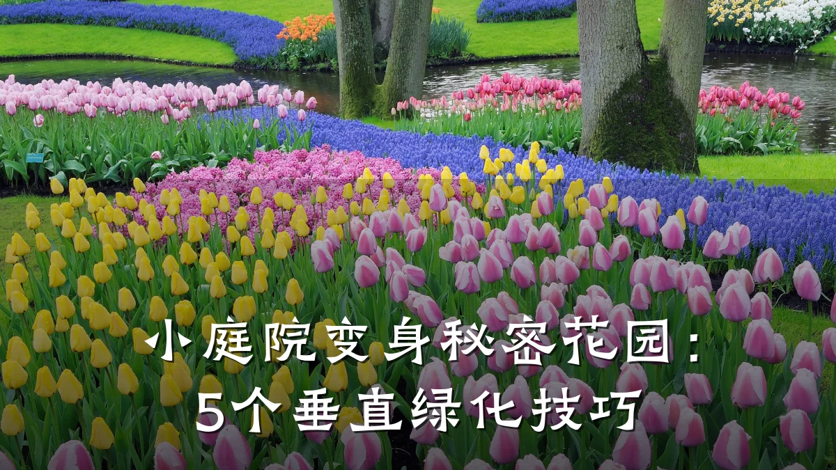 小庭院变身秘密花园:5个垂直绿化技巧