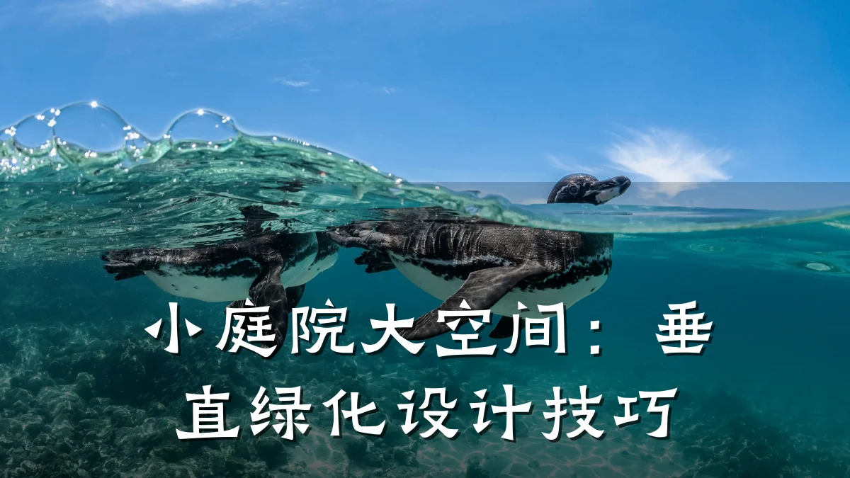 小庭院大空间:垂直绿化设计技巧