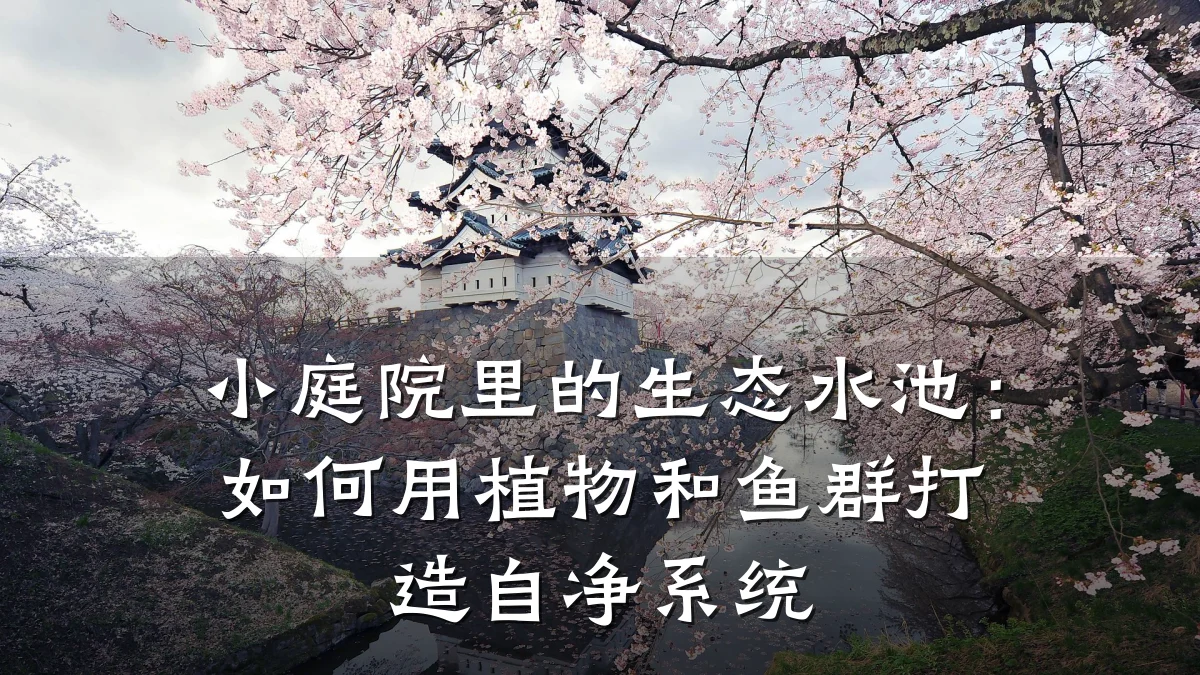 小庭院里的生态水池:如何用植物和鱼群打造自净系统