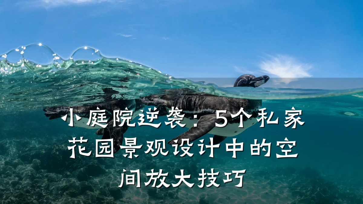 小庭院逆袭：5个私家花园景观设计中的空间放大技巧