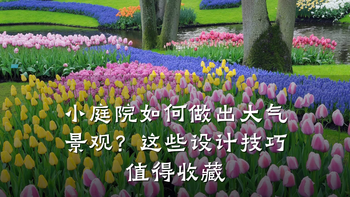小庭院如何做出大气景观?这些设计技巧值得收藏