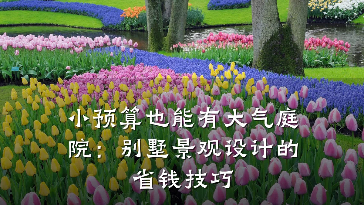 小预算也能有大气庭院：别墅景观设计的省钱技巧