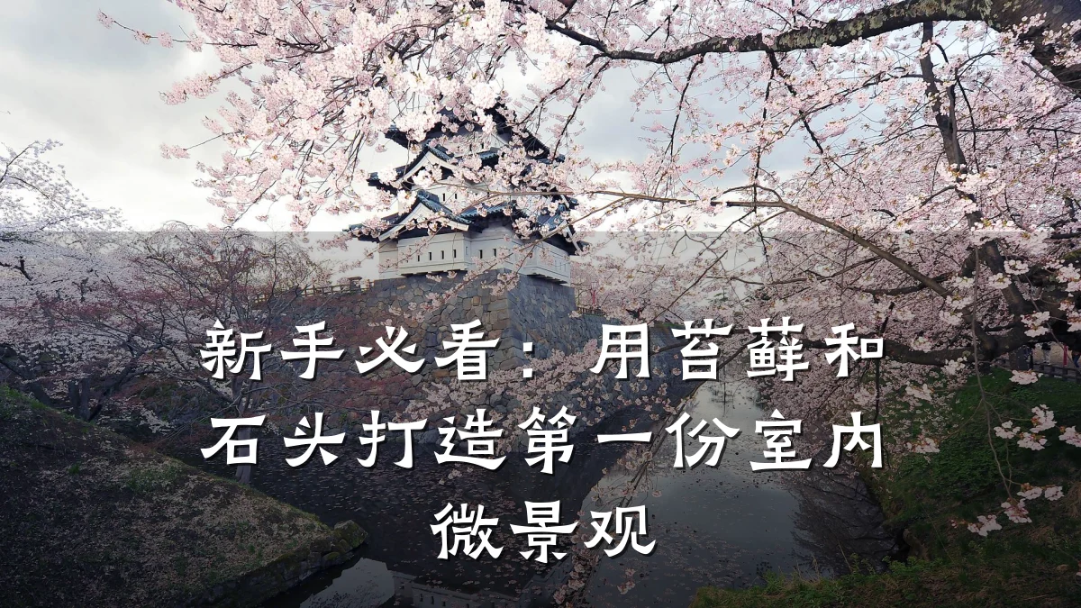 新手必看:用苔藓和石头打造第一份室内微景观