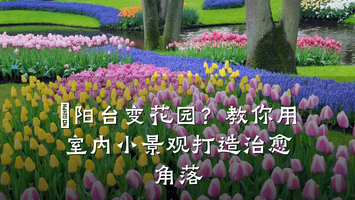 ㎡阳台变花园?教你用室内小景观打造治愈角落