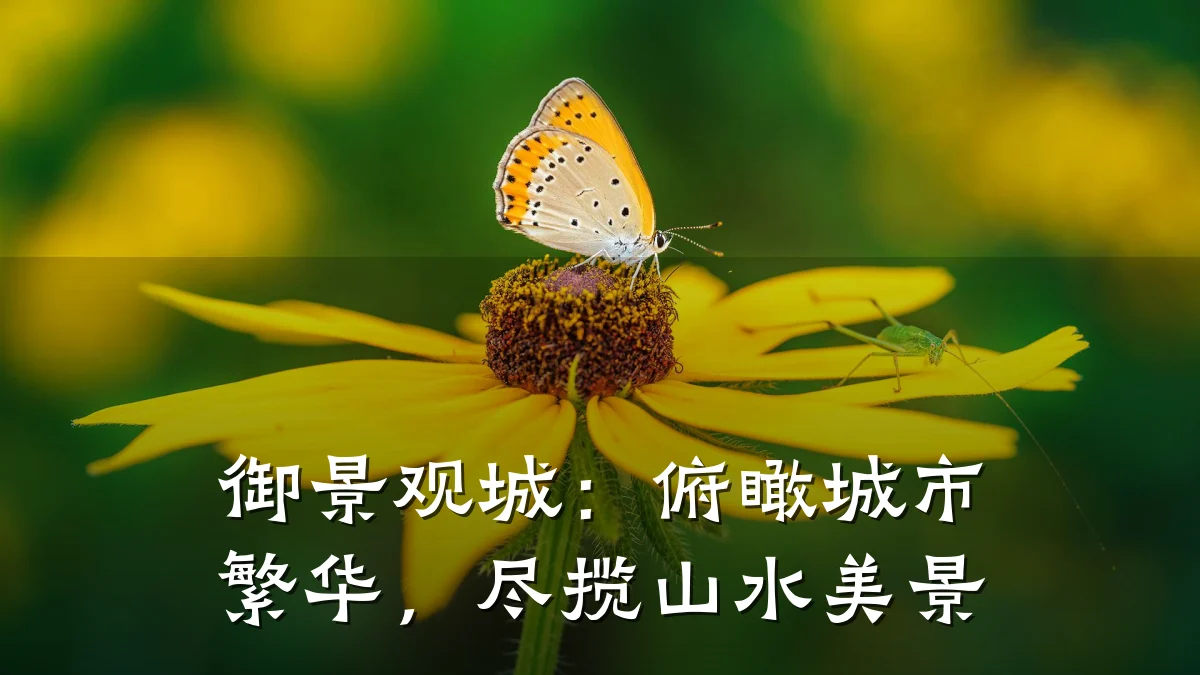 御景观城:俯瞰城市繁华,尽揽山水美景