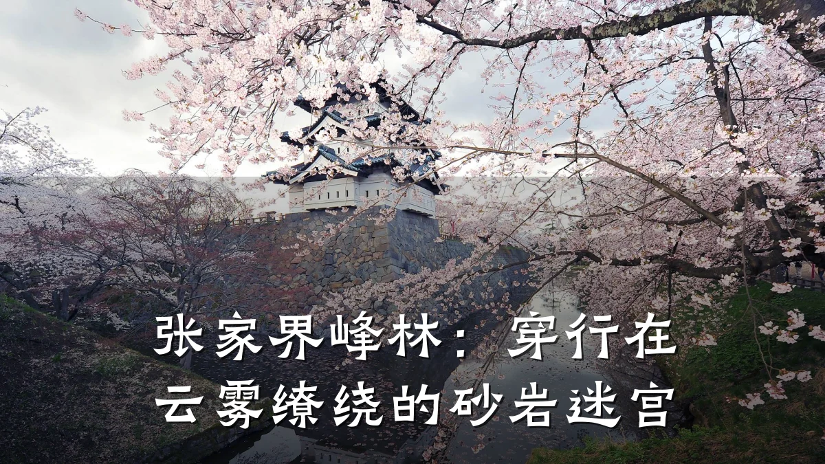 张家界峰林:穿行在云雾缭绕的砂岩迷宫