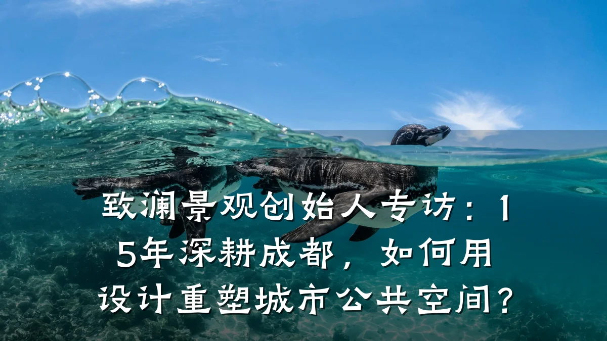 致澜景观创始人专访:15年深耕成都,如何用设计重塑城市公共空间?