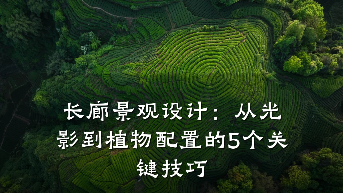 长廊景观设计：从光影到植物配置的5个关键技巧