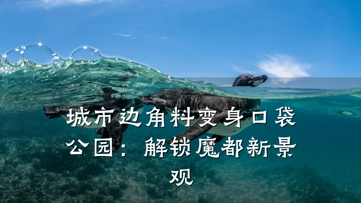 城市边角料变身口袋公园:解锁魔都新景观