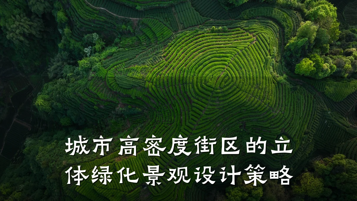 城市高密度街区的立体绿化景观设计策略