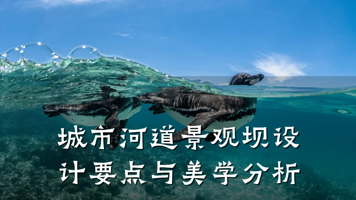 城市河道景观坝设计要点与美学分析