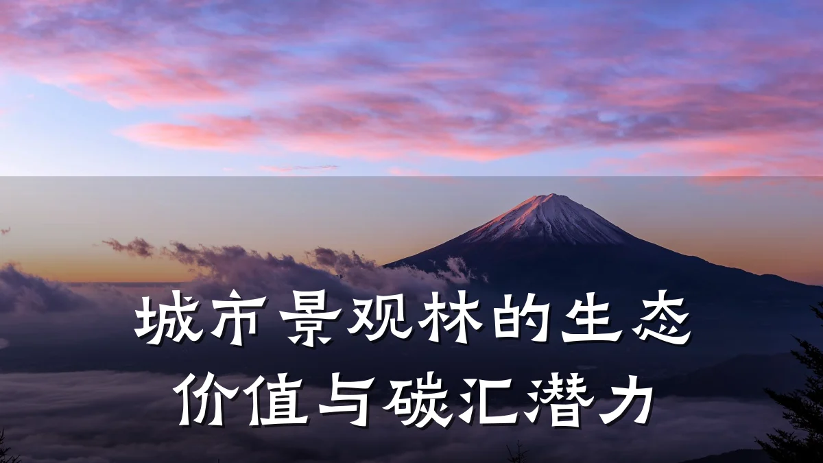 城市景观林的生态价值与碳汇潜力