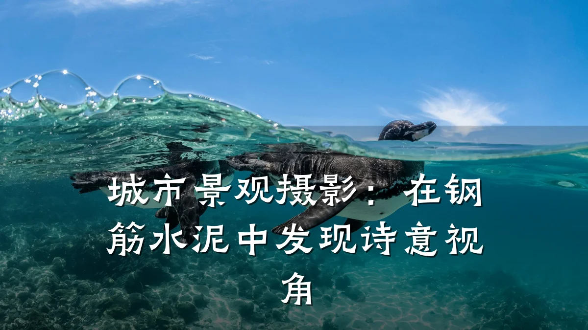 城市景观摄影:在钢筋水泥中发现诗意视角