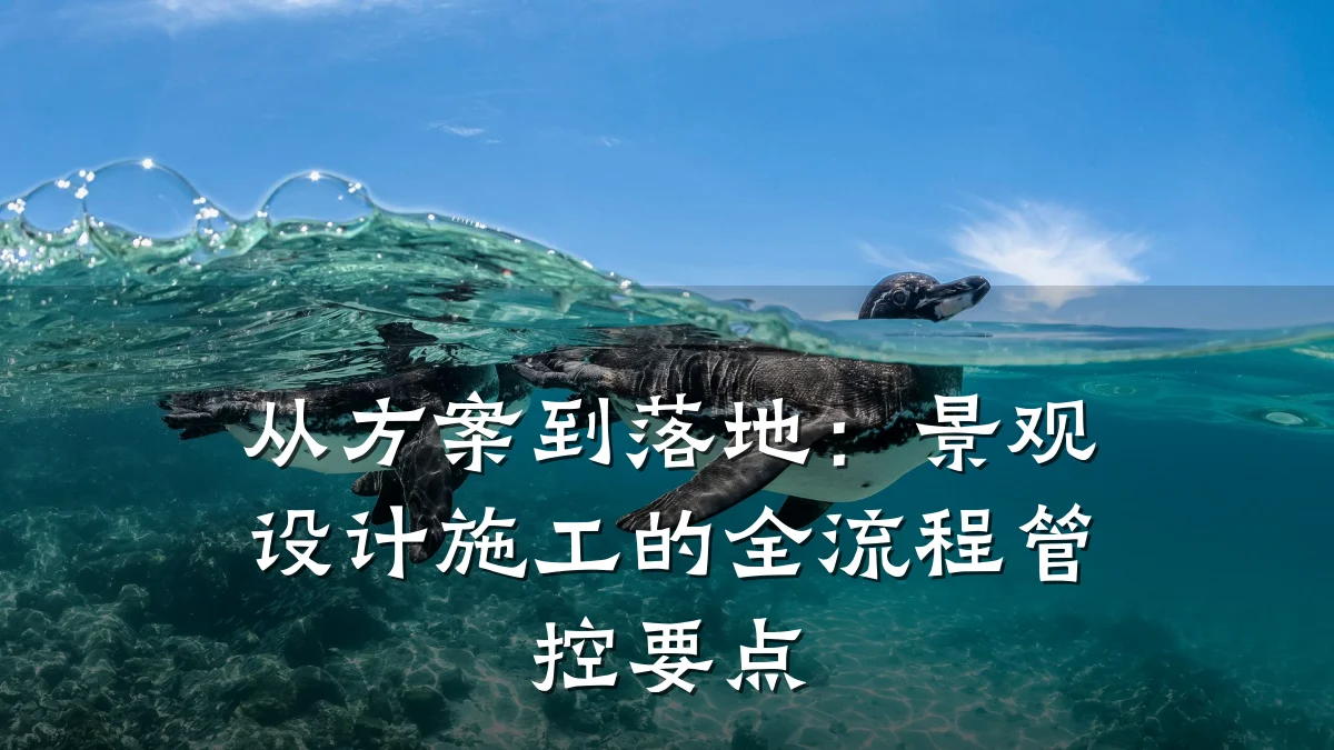 从方案到落地:景观设计施工的全流程管控要点