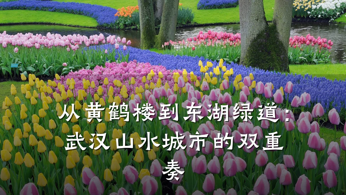 从黄鹤楼到东湖绿道:武汉山水城市的双重奏