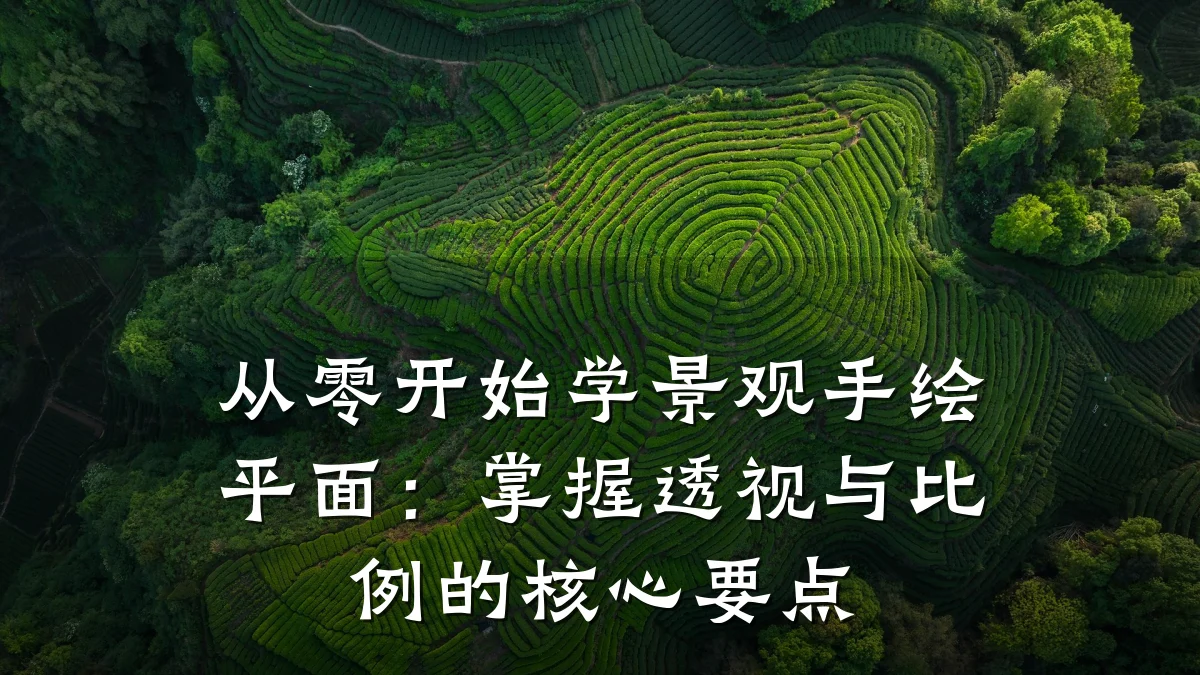 从零开始学景观手绘平面:掌握透视与比例的核心要点