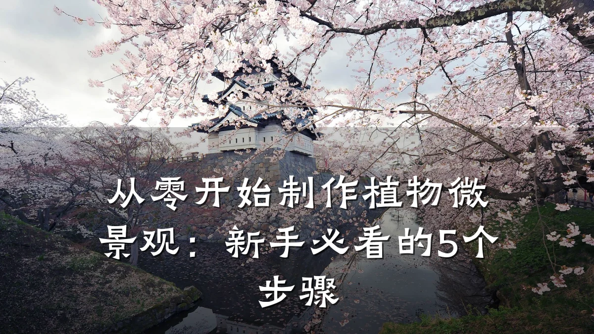 从零开始制作植物微景观:新手必看的5个步骤
