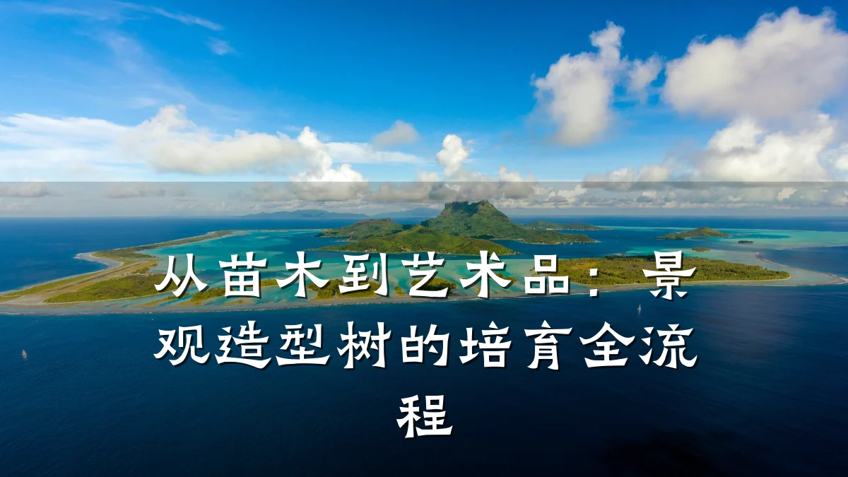 从苗木到艺术品:景观造型树的培育全流程