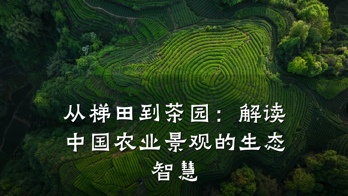 从梯田到茶园：解读中国农业景观的生态智慧