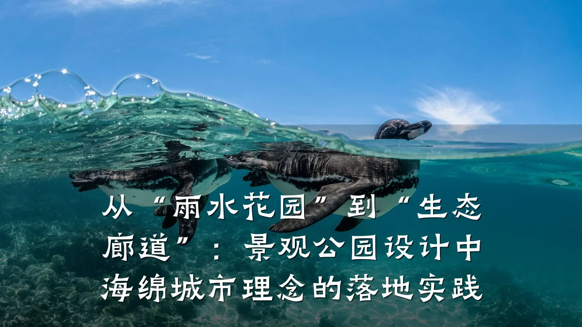从“雨水花园”到“生态廊道”:景观公园设计中海绵城市理念的落地实践