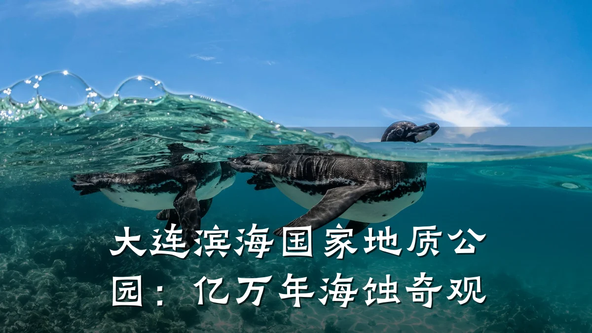 大连滨海国家地质公园:亿万年海蚀奇观