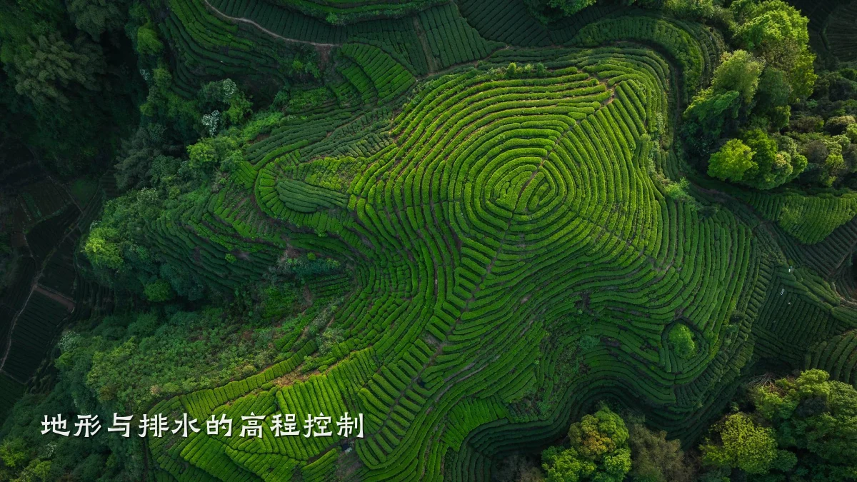 地形与排水的高程控制