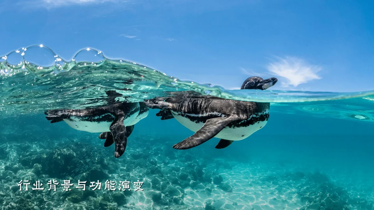 行业背景与功能演变