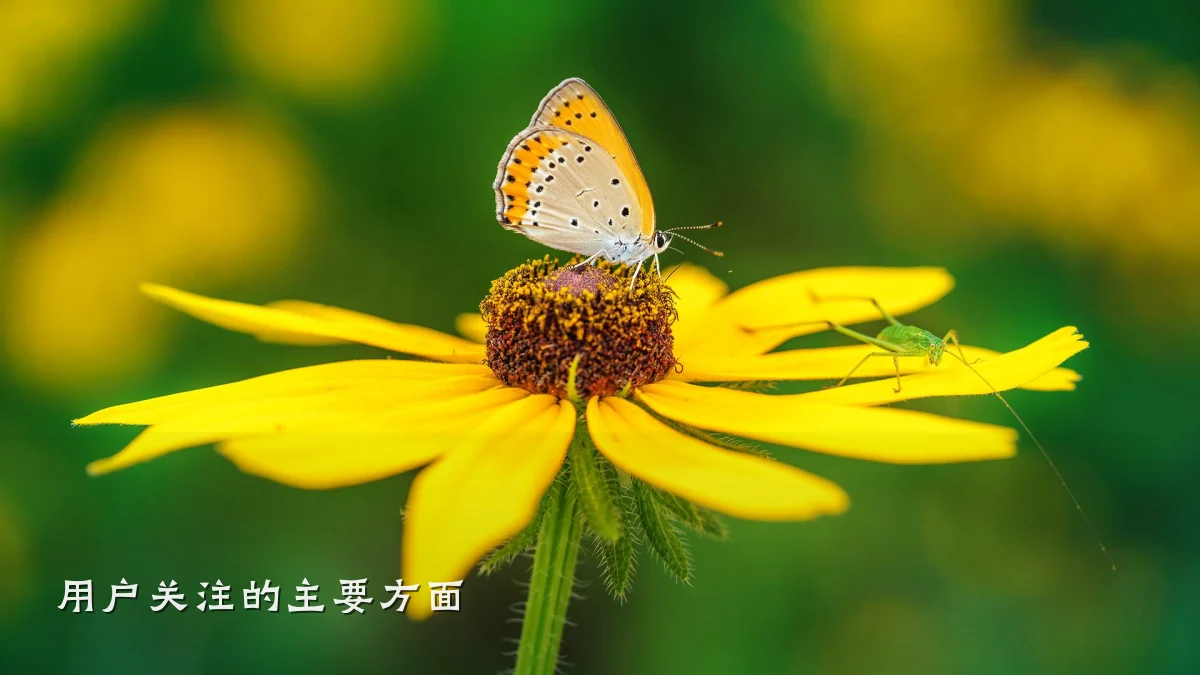 用户关注的主要方面