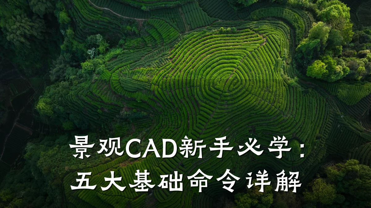 景观CAD新手必学:五大基础命令详解