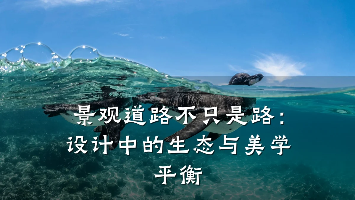 景观道路不只是路:设计中的生态与美学平衡