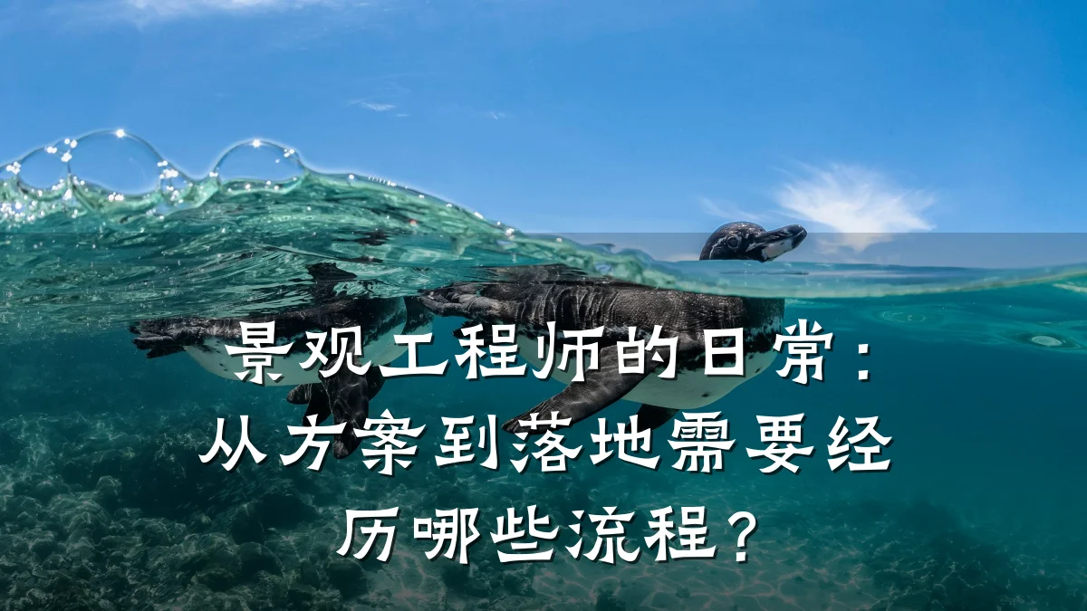 景观工程师的日常：从方案到落地需要经历哪些流程？
