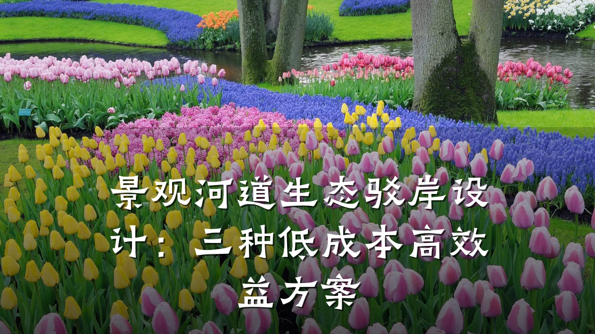 景观河道生态驳岸设计:三种低成本高效益方案
